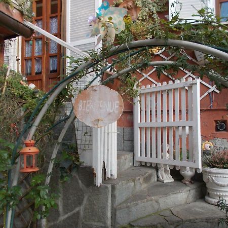 Il Granello Di Senape B&B Palazzo Canavese Eksteriør bilde